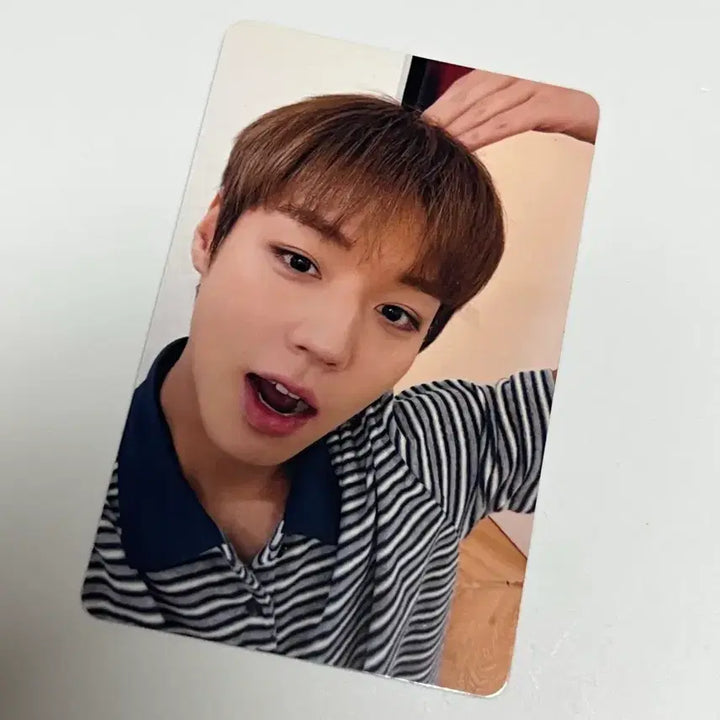 [BUNJANG] Park Ji Hoon Macao Photocard / 박지훈 포카 박지훈 마카오 포카