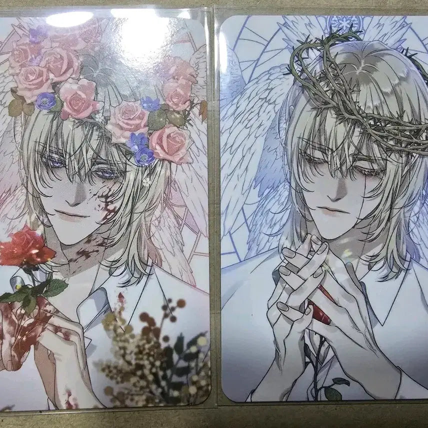 [BUNJANG] Bomtoon Dogam 2 Dear ZeroZero Oh Sa-hyung Today Only Brother Photocard / 봄툰도감2 디어 제로제로 오사형 오늘만 사는 형제