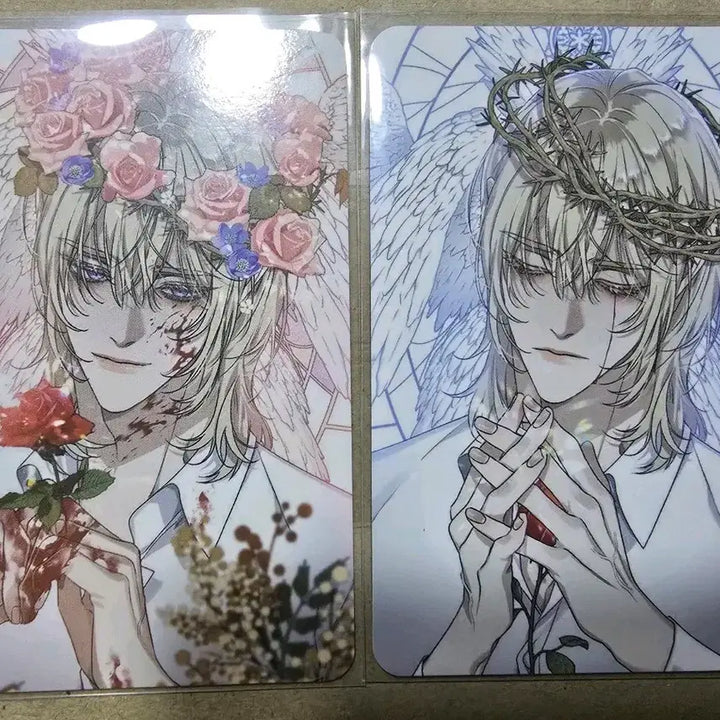 [BUNJANG] Bomtoon Dogam 2 Dear ZeroZero Oh Sa-hyung Today Only Brother Photocard / 봄툰도감2 디어 제로제로 오사형 오늘만 사는 형제