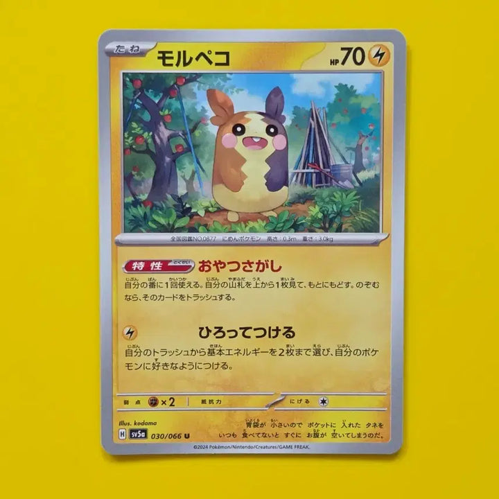[BUNJANG] Pokemon Card SV5a Morpeko Japanese Version / 포켓몬카드 sv5a 모르페코 일판
