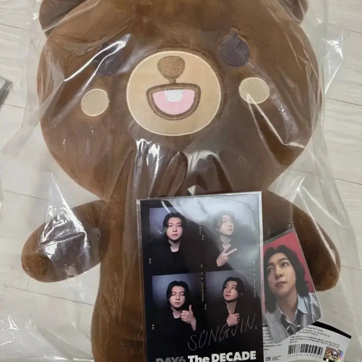 [BUNJANG] Day6 Jja-ppeum-meol Bang Photocard / 데이식스 자쁘멀 방