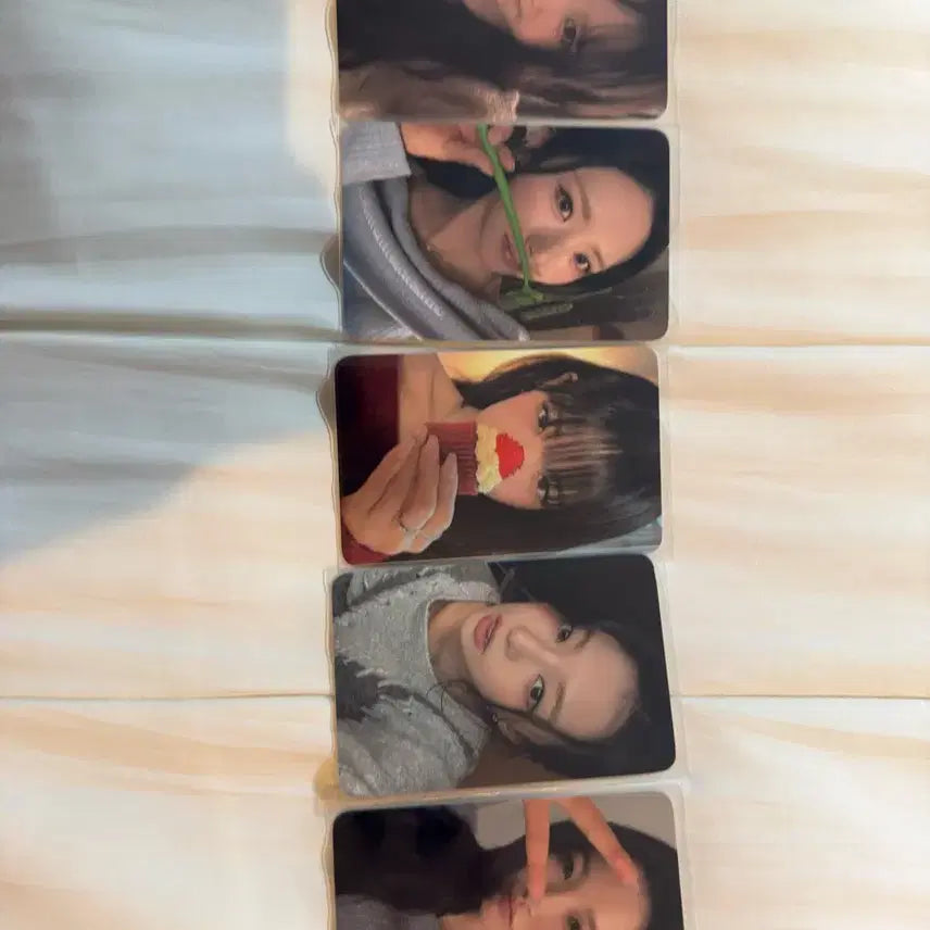 [BUNJANG] Fromis_9 Now or Never Encore Concert Saturday Admission Photocard / 프로미스나인 나우 투모로우 앙콘 중콘 토요일 콘서트 입장포카