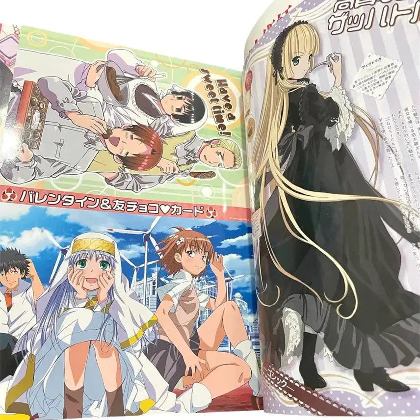 [BUNJANG] Animage Magazine March 2011 Issue Durarara!! Cover / 아니메쥬 잡지 2011년 3월호 표지 듀라라라