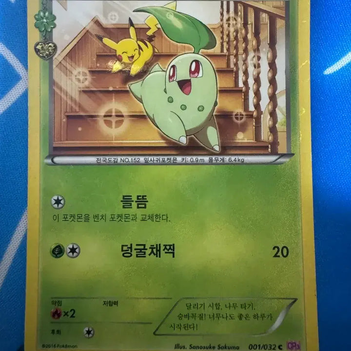 [BUNJANG] Pokemon Card Chikorita CP3 Album Version / 포켓몬 카드 심쿵 치코리타 cp3 앨범용
