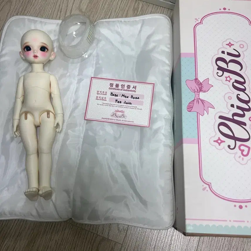 [BUNJANG] Chicabi Bora Wig (Store Exclusive) / 치카비 보라(매장한정),가발