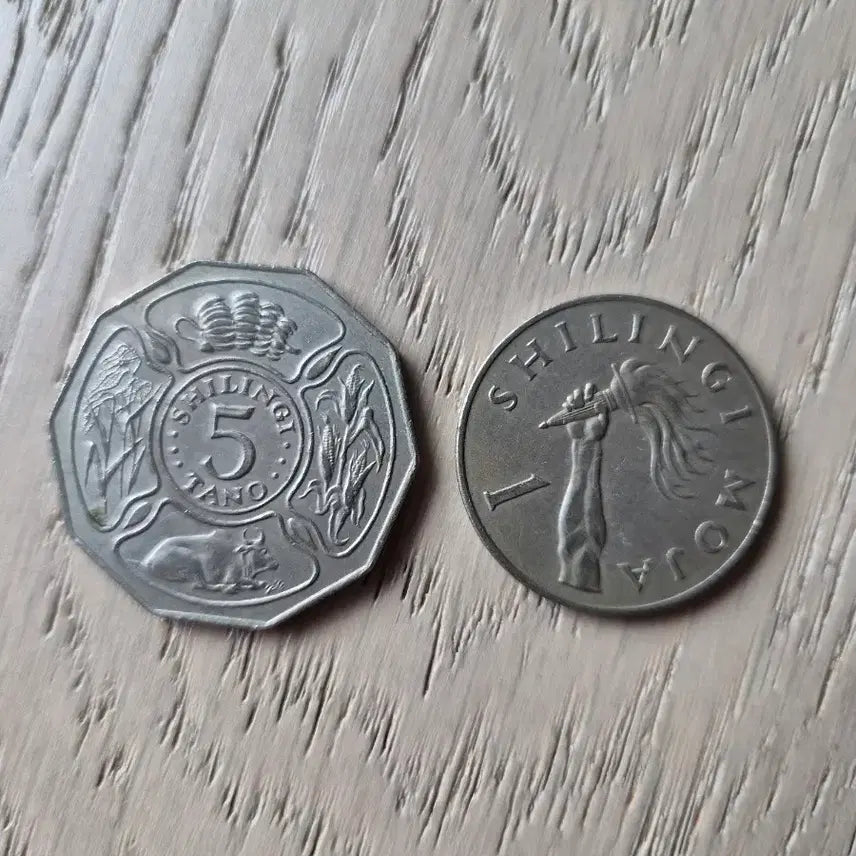[BUNJANG] Tanzania 1972, 1974 Coins / 탄자니아 1972년 1974년 동전