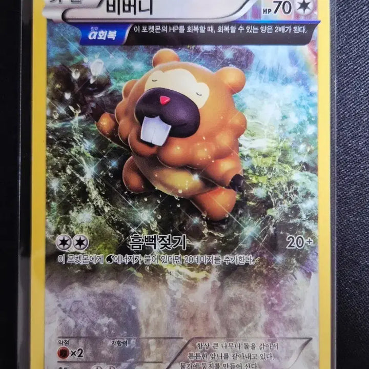 [BUNJANG] XY Series Pokémon Card Bibarel 058/070 / XY시리즈 포켓몬카드 비버니 058/070