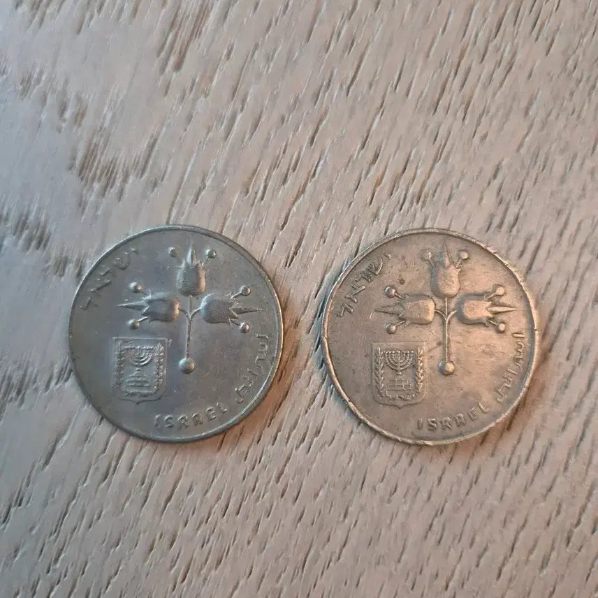 [BUNJANG] Israel 10 Lira Coins (2)  / 이스라엘 10 리라 동전 2개