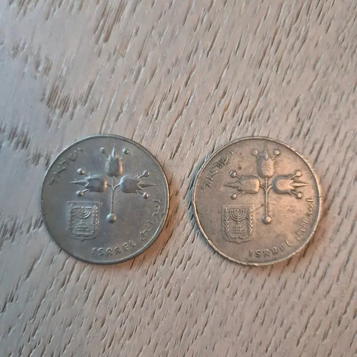 [BUNJANG] Israel 10 Lira Coins (2)  / 이스라엘 10 리라 동전 2개