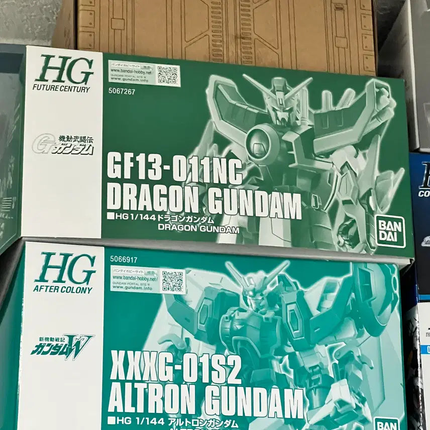 [BUNJANG] Bandai HG Dragon Gundam Model Kit (Sealed) / HG드래곤건담 새상품