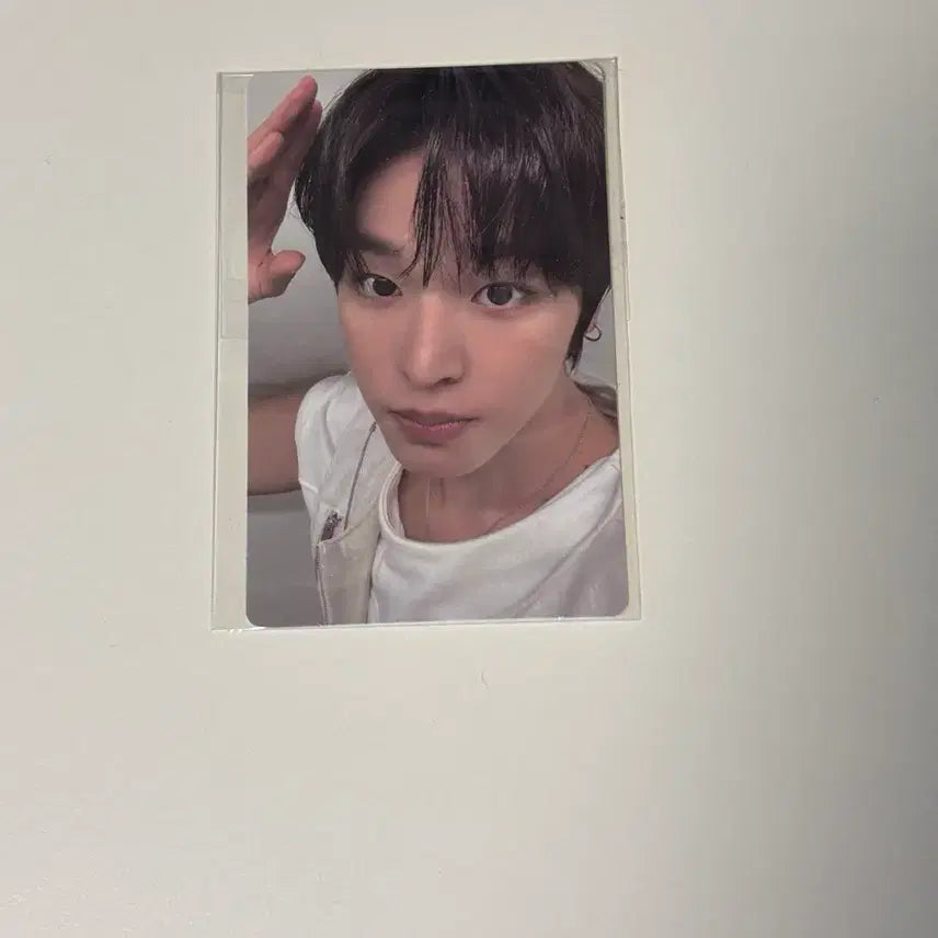 [BUNJANG] NCT WISH Riku Color Photocard / 엔시티 위시 리쿠 컬러 n만원 이상 구매 시 증정 포카