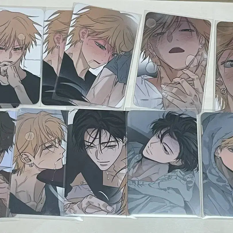 [BUNJANG] Full Book Collection Photocard Bundle Set / 풀북 컬렉션 포카 컬포 일괄