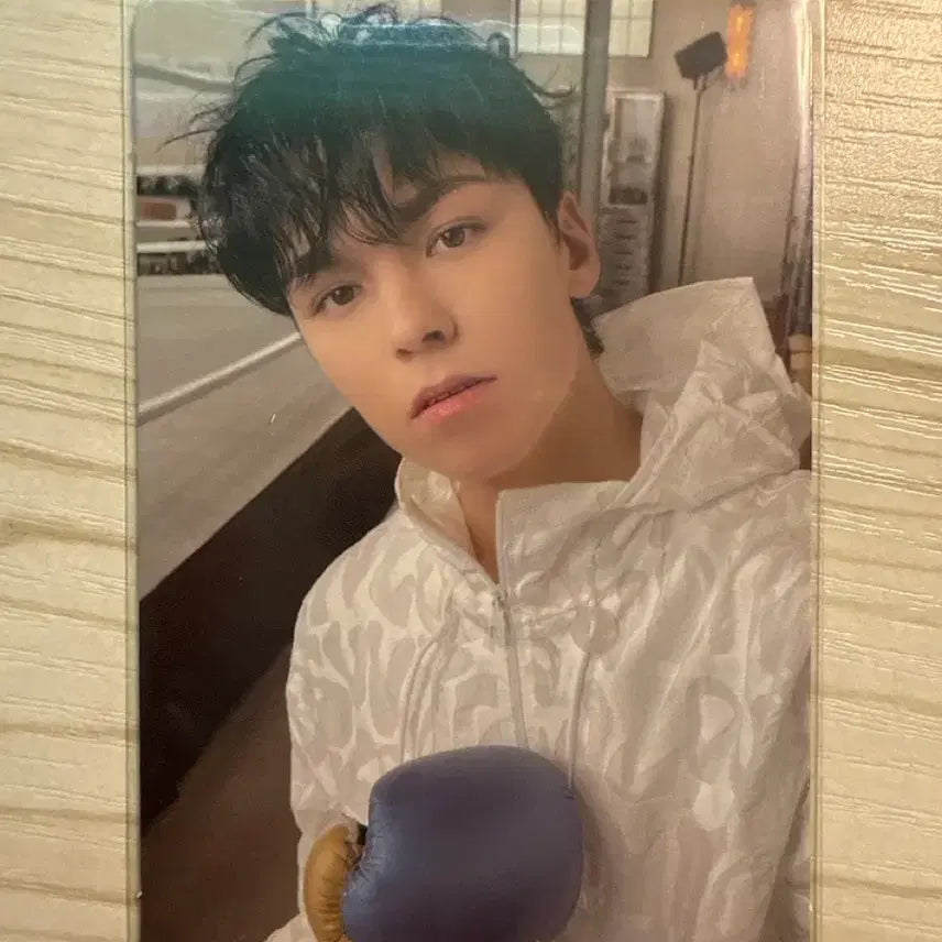 [BUNJANG] Seventeen Vernon Photocard / [FML] Seventeen 버논 포카
