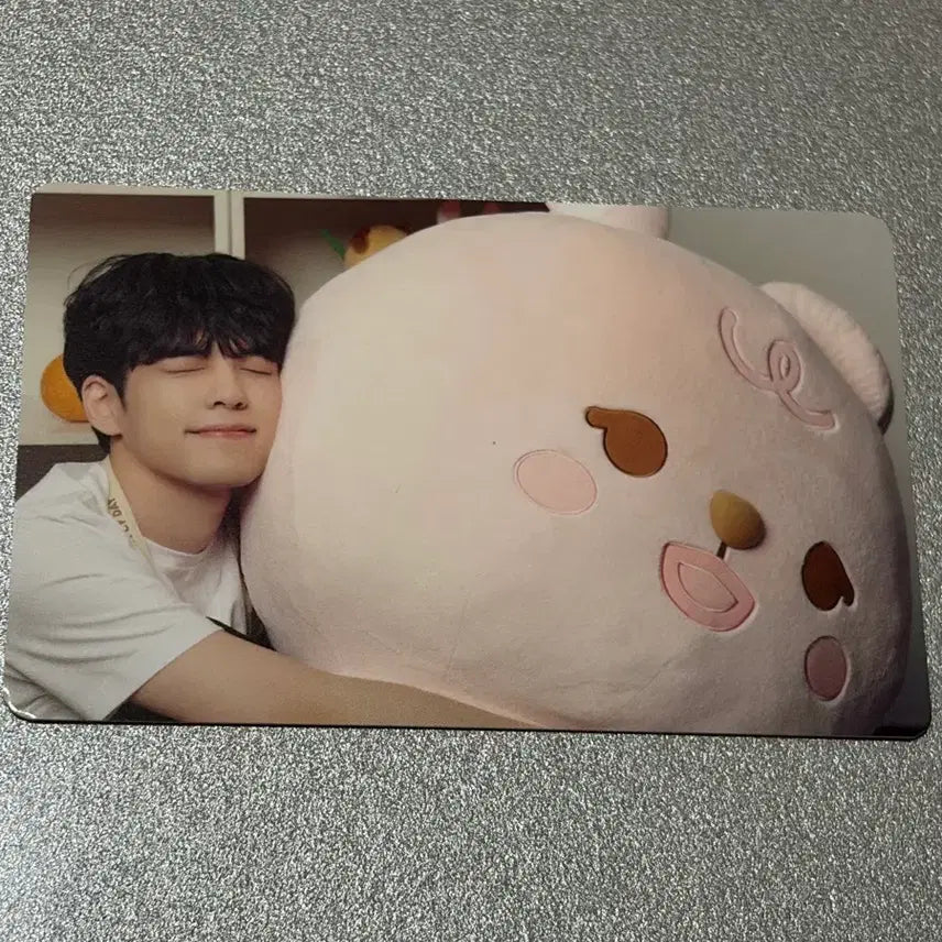 [BUNJANG] Wonpil Photocard / 원필 포카