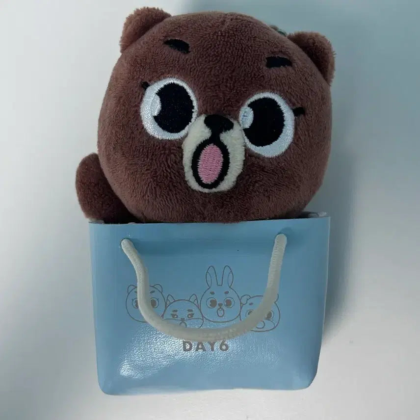 [BUNJANG] Day6 Japan Backpack Charm / 데이식스 백참 방