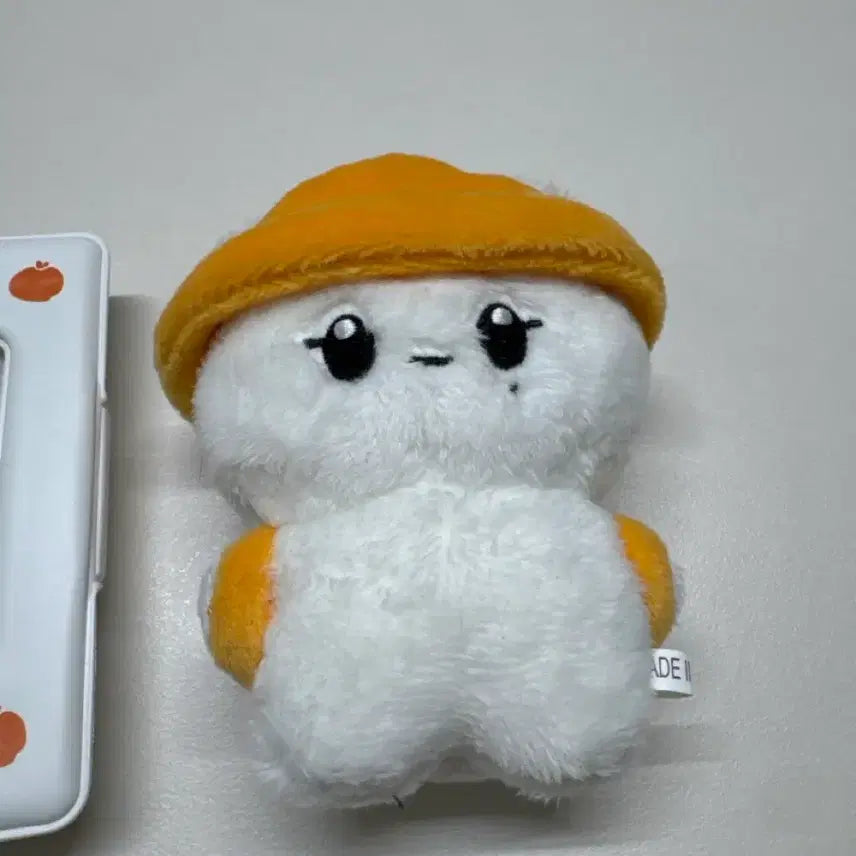 [BUNJANG] SEVENTEEN Follow Seungkwan Photocard Holder &amp; Boo Bear Doll / 세븐틴 follow 승관 포카홀더, 승관부베어인형