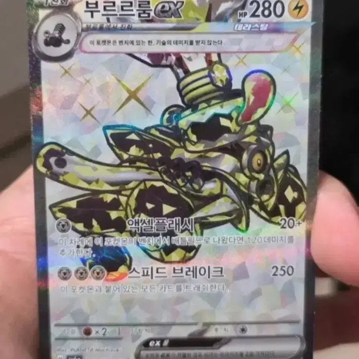 [BUNJANG] Pokémon Card Bururu Room EX SR / 포켓몬카드 부르르룸ex Sr A급