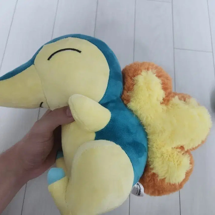 [BUNJANG] Pokemon Charmander Plush Toy / 포켓몬스터 포켓몬 브케인 봉제 인형