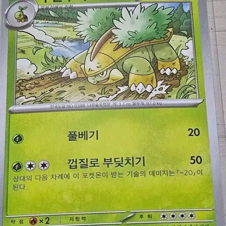 [BUNJANG] Pokemon Cards: Phantump &amp; Trevenant Set / [최저가] 포켓몬카드 수풀부기, 토대부기 세트