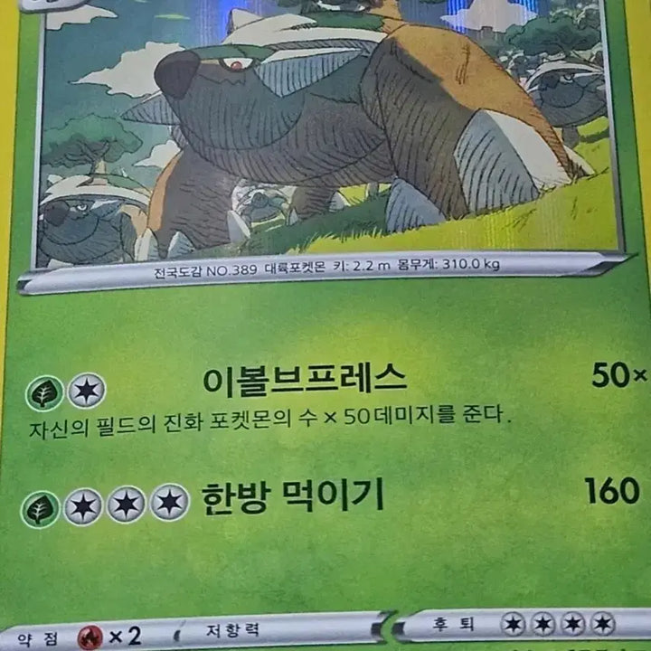 [BUNJANG] Pokemon Cards: Phantump &amp; Trevenant Set / [최저가] 포켓몬카드 수풀부기, 토대부기 세트