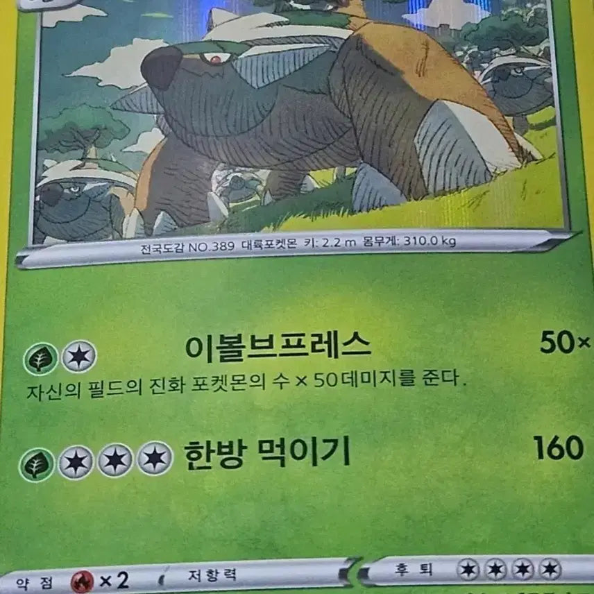 [BUNJANG] Pokemon Cards: Phantump &amp; Trevenant Set / [최저가] 포켓몬카드 수풀부기, 토대부기 세트