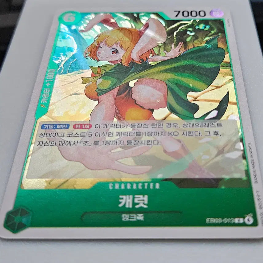 [BUNJANG] SEVENTEEN Carat Photocard / EB03-013 캐럿