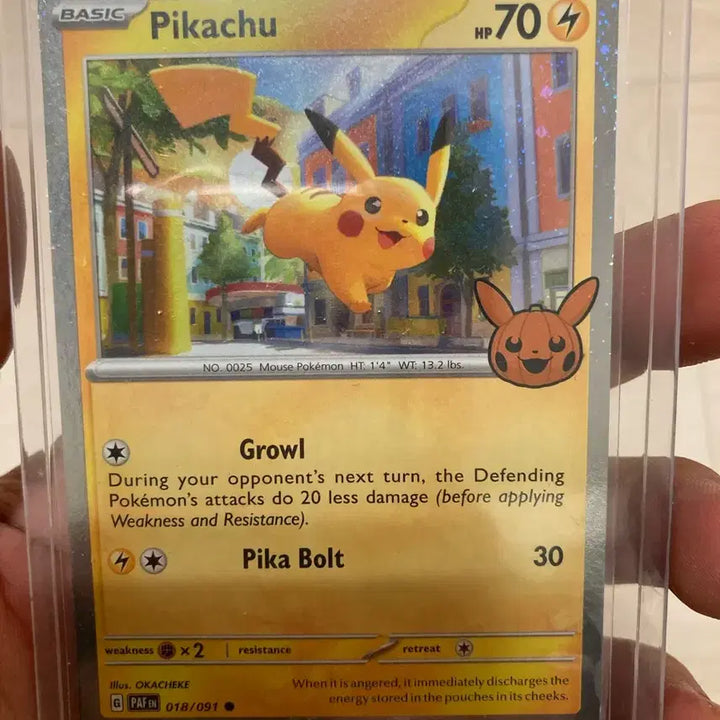 [BUNJANG] Pokemon Halloween Pikachu and Darkrai Card Bundle Set / (영판)포켓몬 카트 24년도 할로윈 피카츄 스월2개, 스월1개, 홀로,  다크라이 일괄 판매
