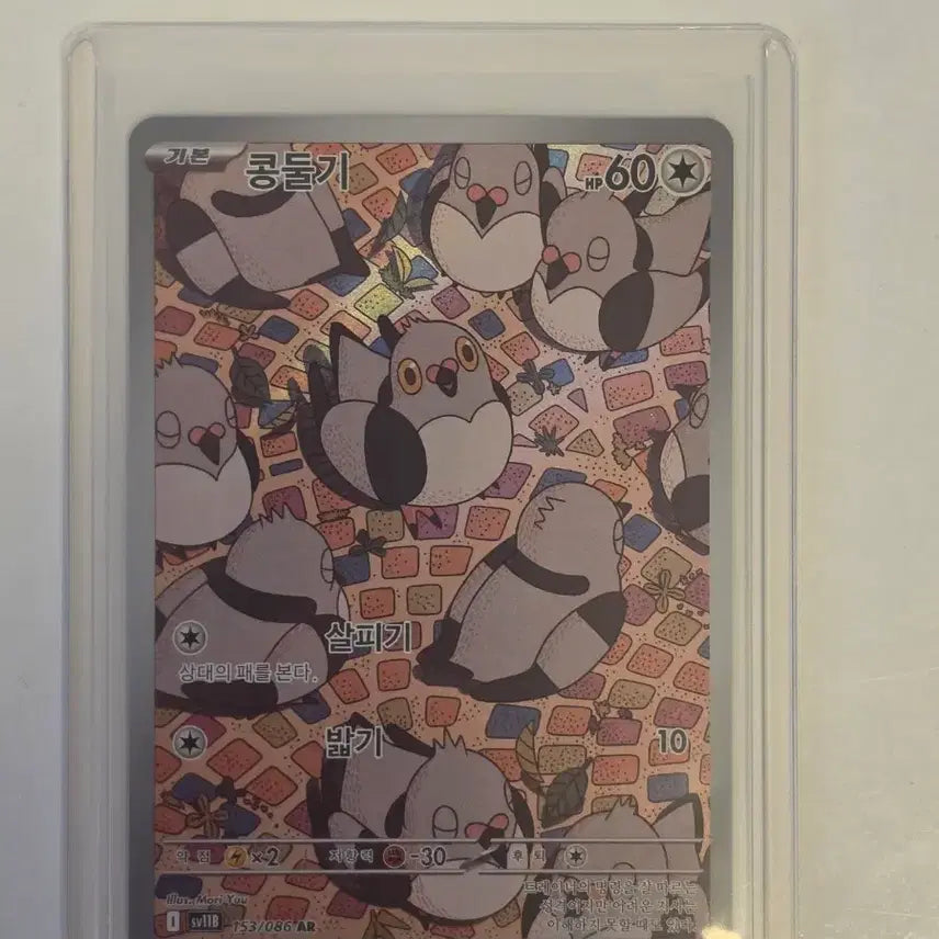 [BUNJANG] Pokemon Card Treecko AR 153/086 / 포켓몬카드 콩둘기 AR 153/086