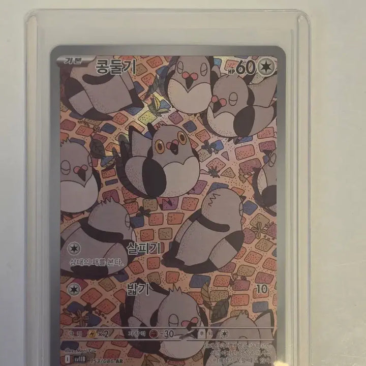 [BUNJANG] Pokemon Card Treecko AR 153/086 / 포켓몬카드 콩둘기 AR 153/086