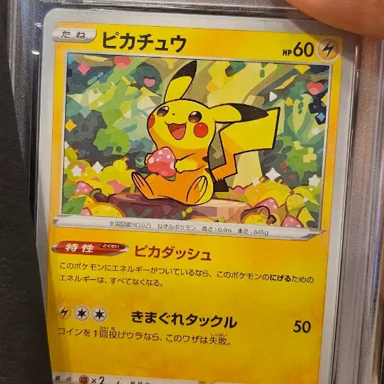 [BUNJANG] Pokemon Card Pikachu Dark Phantasma PSA 10 / 택포 13 포켓몬 카드 피카츄 다크 판타즈마 PSA 10