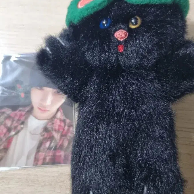 [BUNJANG] BOYNEXTDOOR Han Hyungjun Set Full Body Doll (Unsealed) / 보넥도 한탯풍 인형 판매