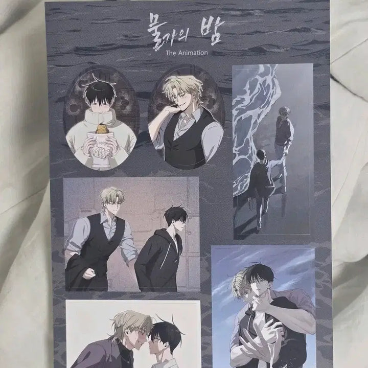 [BUNJANG] Mulgaeui Bam Sticker Set / 물가의 밤 스티커 판매합니다
