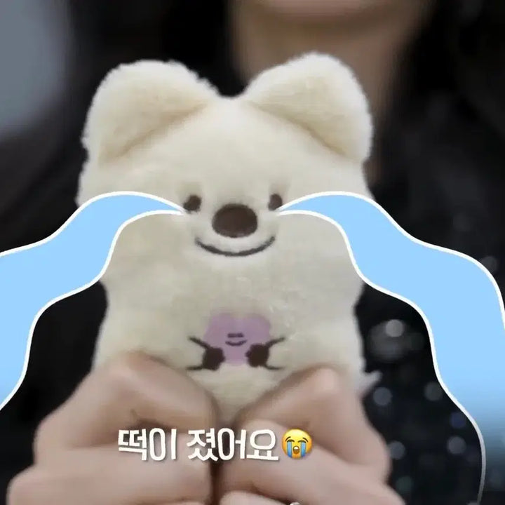 [BUNJANG] Kim Jiwon Doll (Unsealed) / 김지원 인형 판매