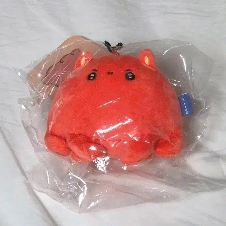 [BUNJANG] Nongdamgom Aquarium Mascot New / 농담곰 수족관 마스코트 새상품