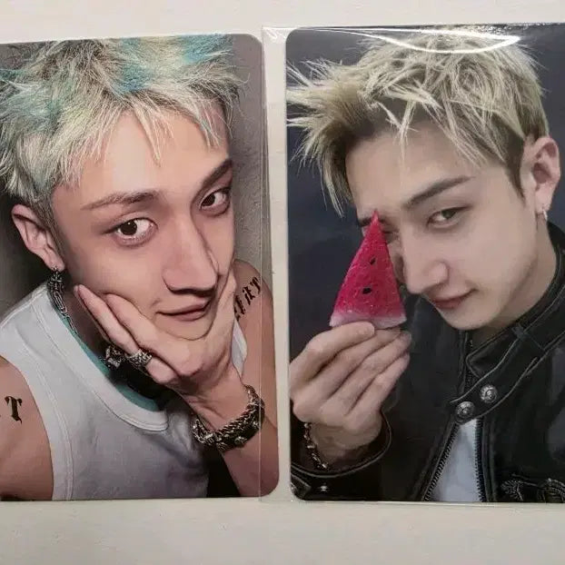 [BUNJANG] Stray Kids Bang Chan Skzoo Lucky Draw Photocard / 스트레이키즈 스키즈 팬즈 특전 앨포 방찬 skz straykids bangchan