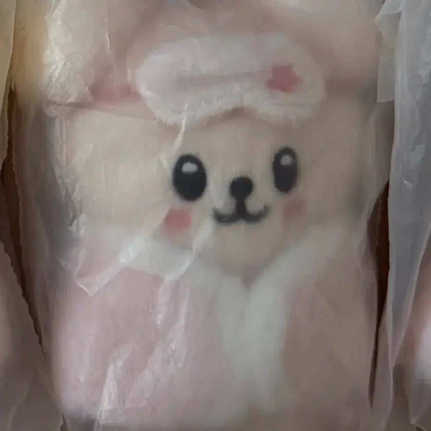 [BUNJANG] Stray Kids Seungmin Ppurim Plush 10cm Fanmeeting / 스트레이키즈 스키주 플러시 10 cm  퍼핌 승민 스키즈 팬미팅