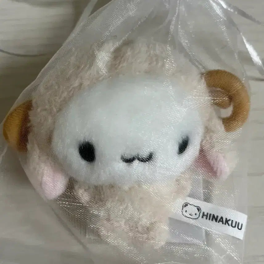 [BUNJANG] HINAKUU InHoo Doll Sealed / 미개봉) 오늘만! 현물 히나쿠우 양 인형 판매합니다