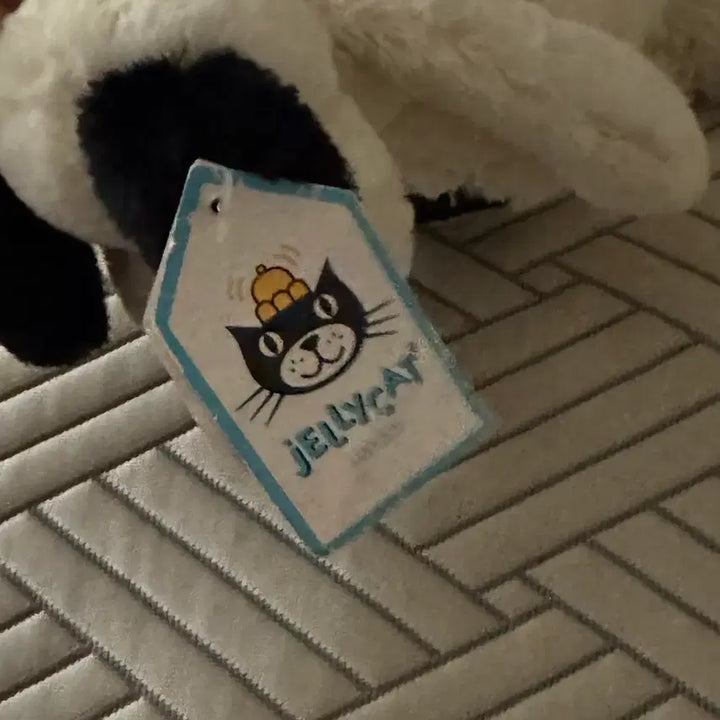 [BUNJANG] Jellycat Bashful Black &amp; Cream Puppy Small Plush Toy / jellycat 스몰 바쉬풀 블랙&amp;크림 퍼피 젤리캣 정품