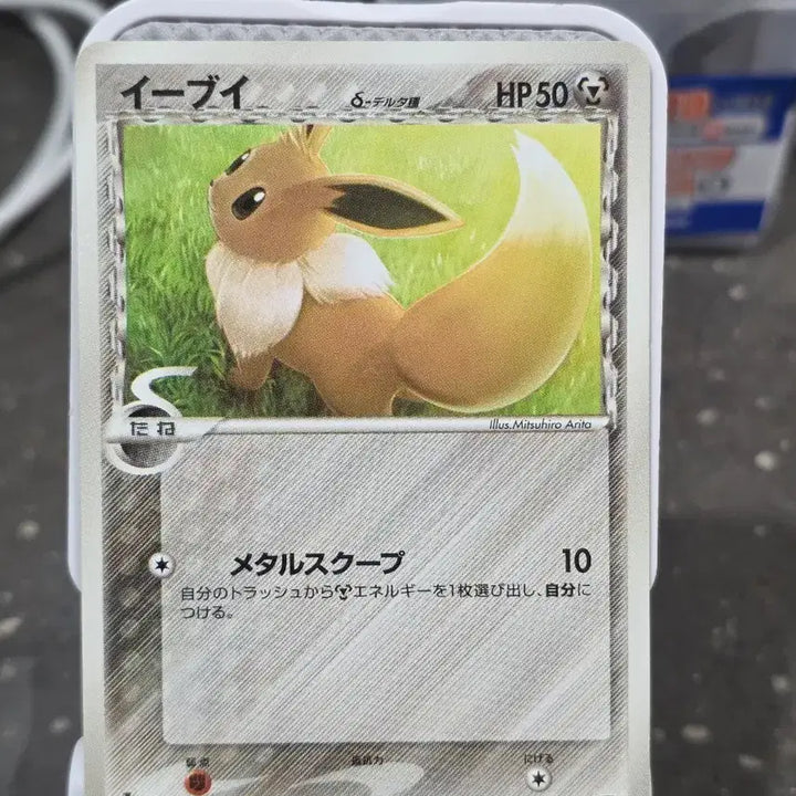 [BUNJANG] Pokemon Eevee First Edition Delta Species Card / (포켓몬) 이브이 퍼스트에디션 델타종 카드