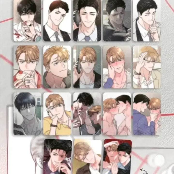 [BUNJANG] Outer Love Curtain Call / 배드애플 포카 컬렉션 포토카드 드볼 18종 세트