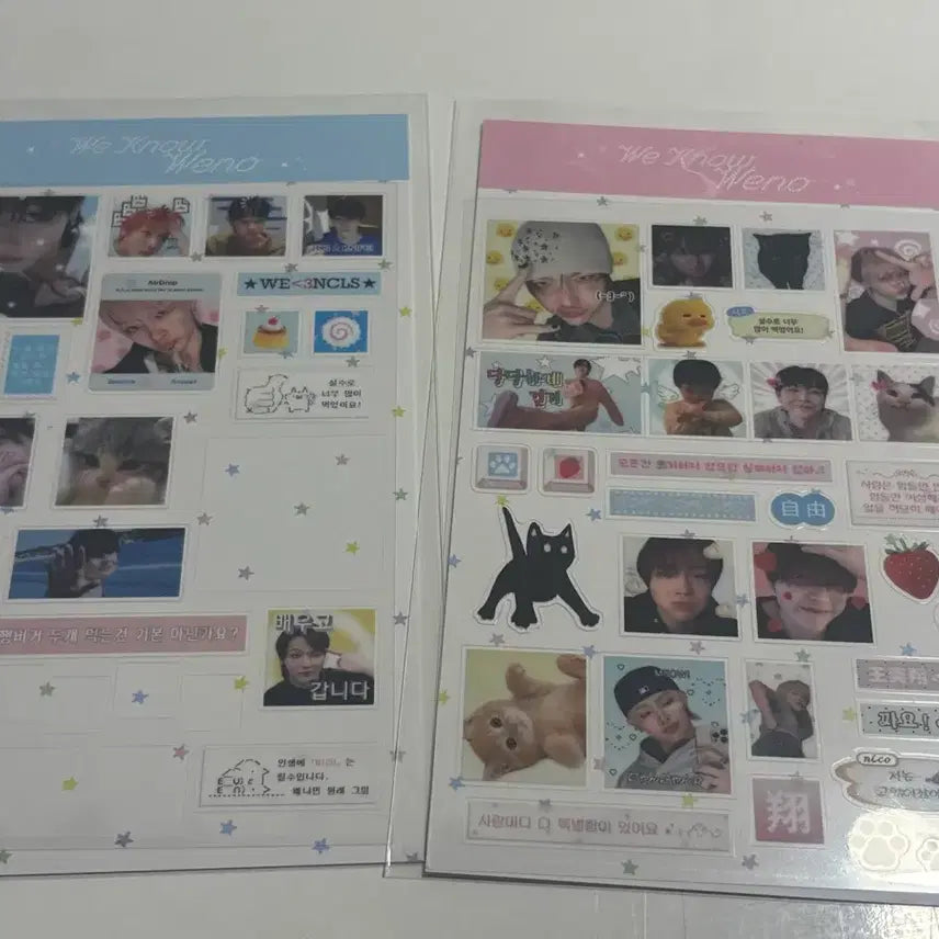 [BUNJANG] ENHYPEN Nicholas DMB Sticker Bundle Set / 앤팀 니콜라스 돔보스티커 일괄