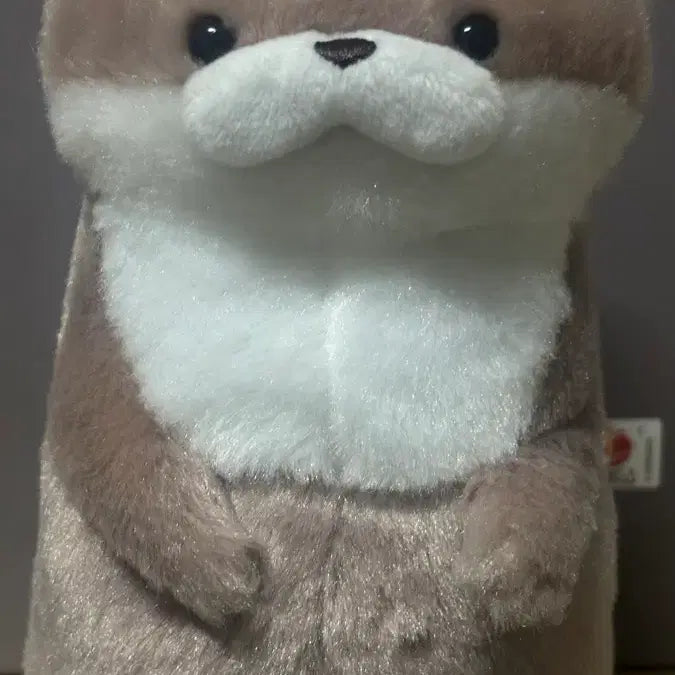 [BUNJANG] Amuse Otter Plush 17cm / 어뮤즈 수달 인형 17cm