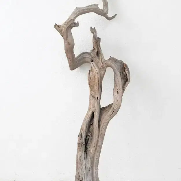 [BUNJANG] Giant American Ghost Wood Decorative Piece / 거대한 미국 초대형 고스트 우드 판매, 새 상품