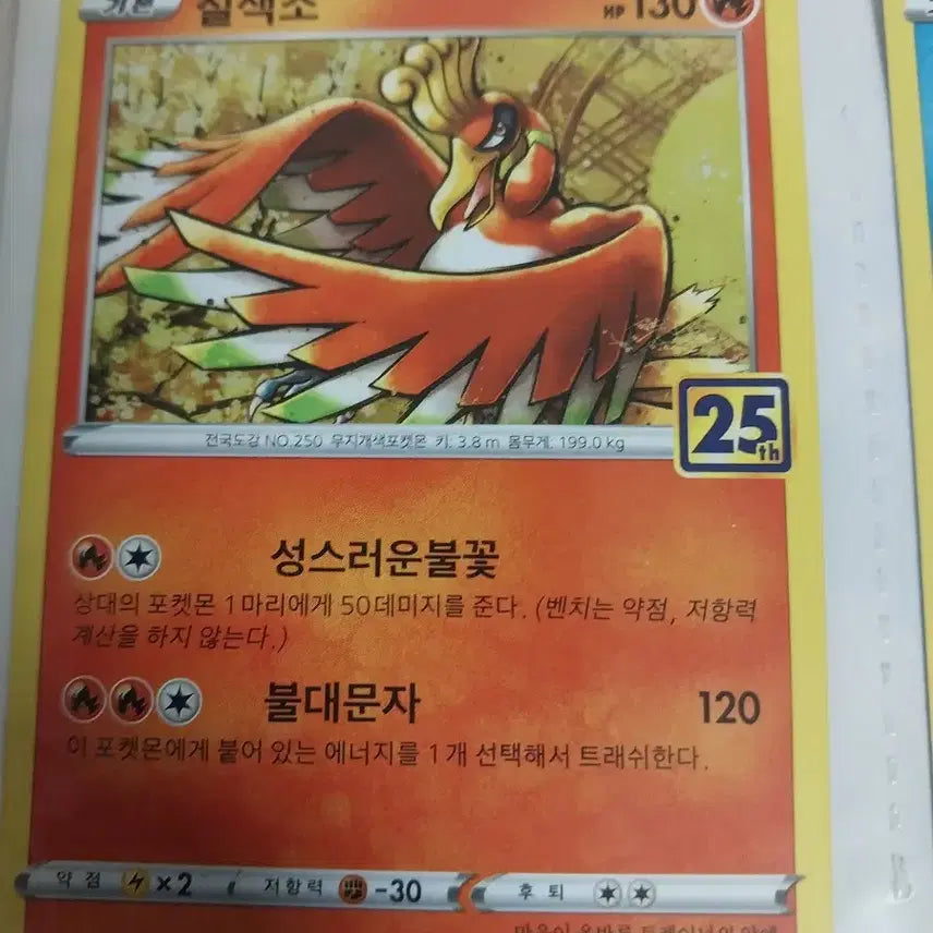 [BUNJANG] Pokemon Card 25th Anniversary Lot / 포켓몬 카드 25주년 랏