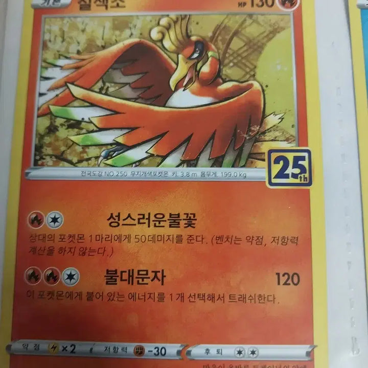 [BUNJANG] Pokemon Card 25th Anniversary Lot / 포켓몬 카드 25주년 랏