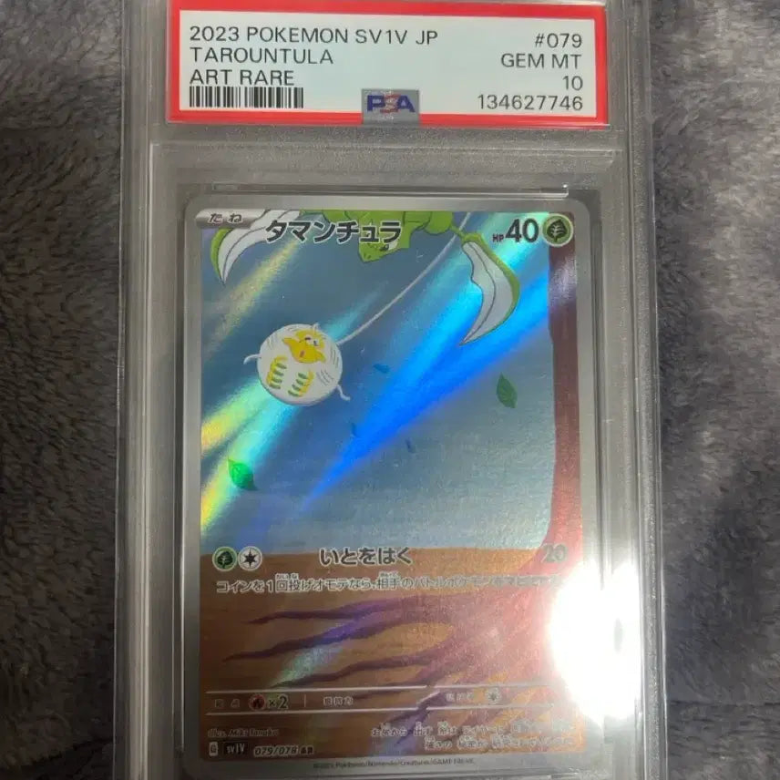 [BUNJANG] Pokemon TCG Mukuh-AR (117/081) &amp; Tarantula-AR (079/078) PSA 10 Graded Cards / 무쿠 일판 SAR 117/081, 타랜툴라 AR 079/078 psa10등급