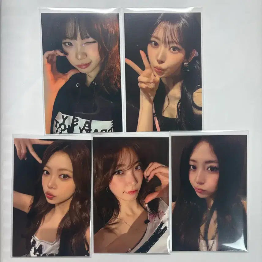 [BUNJANG] LE SSERAFIM EUPHORIA Encore Concert Photocard / 르세라핌 이크핫 앵콜 콘서트 포카