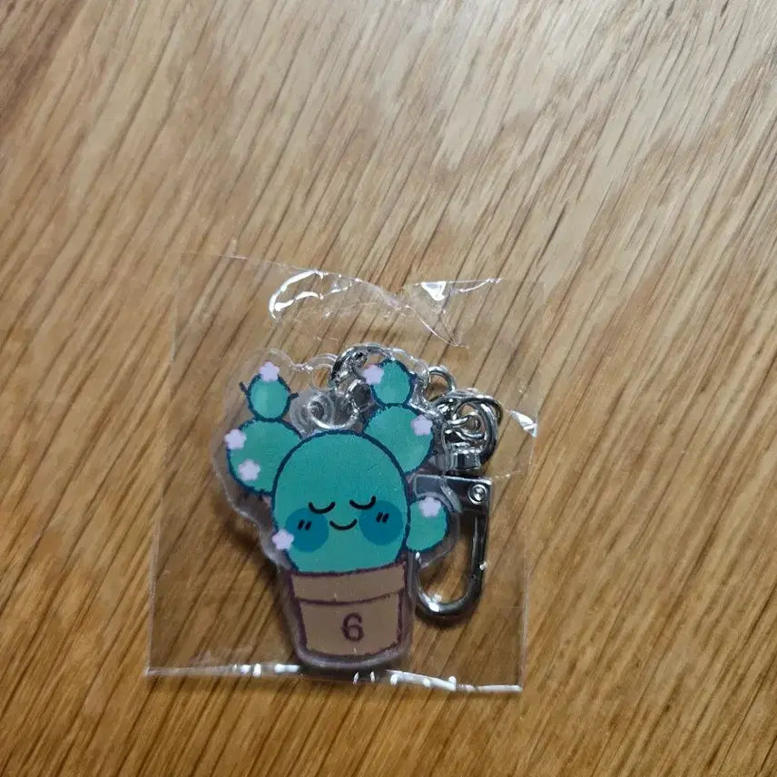 [BUNJANG] IU 2023 Fan Concert Goods Set (Succulent Keychain + Pipi Doll + Acrylic Keychain + Box) / 아이유 2023 팬콘 역조공 굿즈 세트 (다육이 키링 + 삐삐 인형 + 아크릴 키링 + 박스)