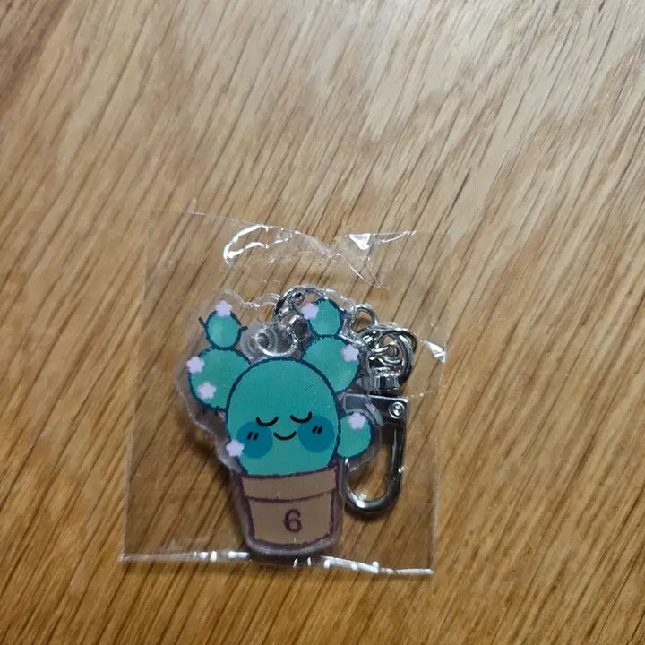 [BUNJANG] IU 2023 Fan Concert Goods Set (Succulent Keychain + Pipi Doll + Acrylic Keychain + Box) / 아이유 2023 팬콘 역조공 굿즈 세트 (다육이 키링 + 삐삐 인형 + 아크릴 키링 + 박스)