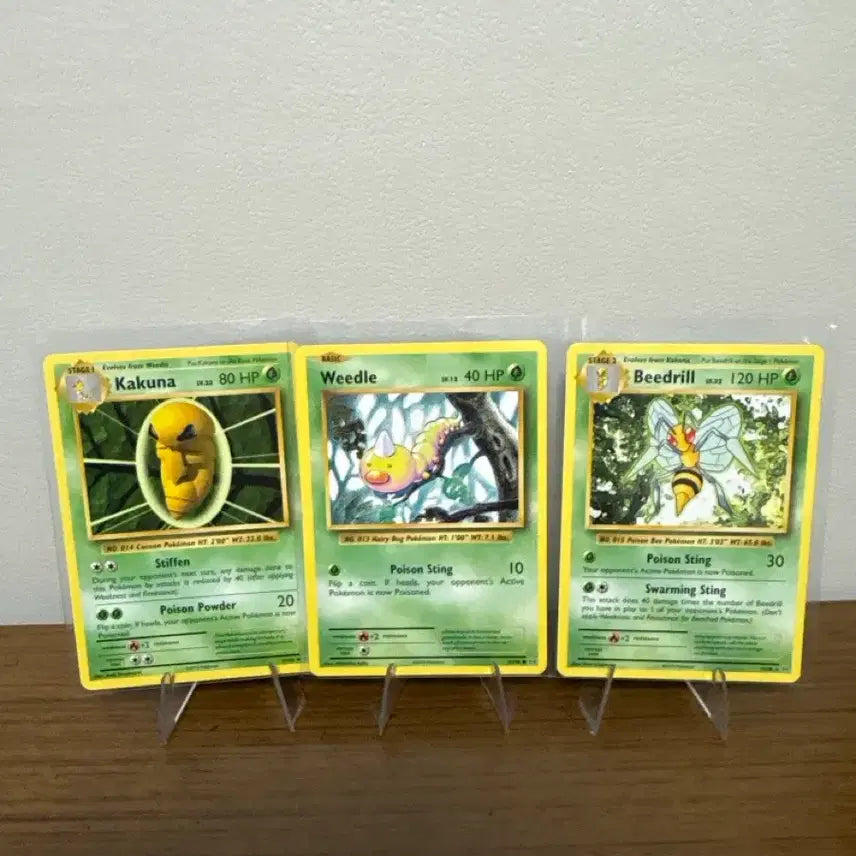[BUNJANG] Pokemon Card XY Revolution Stantler Set / 포켓몬카드 XY 레볼루션 뿔충이 셋트